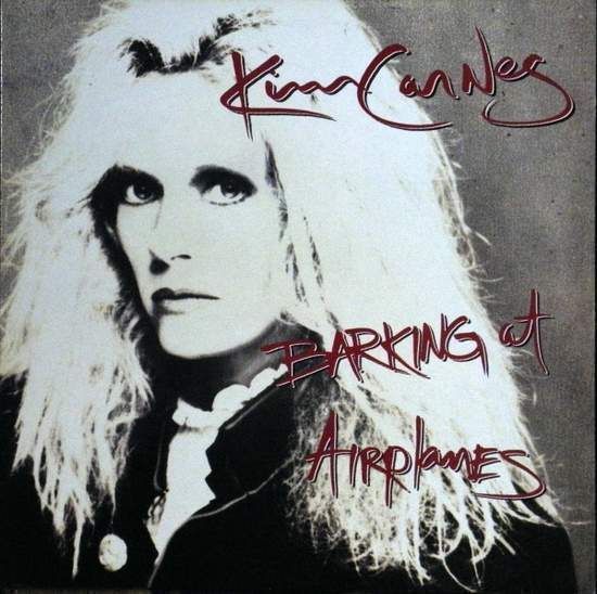 Cover of Barking At Airplanes