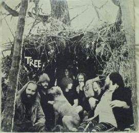 Cover of Tree