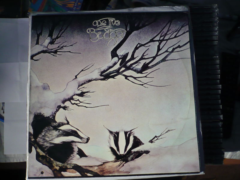 Cover of One Live Badger