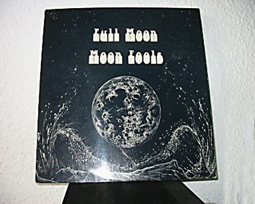 Cover of Moon Fools