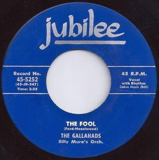 Cover of The Fool / The Morning Mail