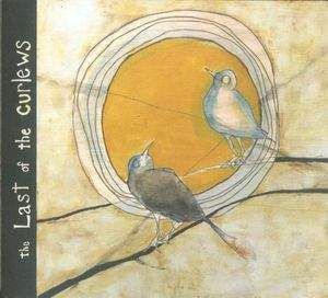 Cover of The Last Of The Curlews