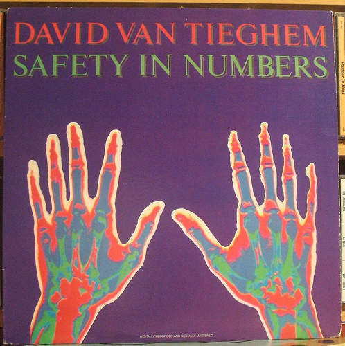 Cover of Safety In Numbers