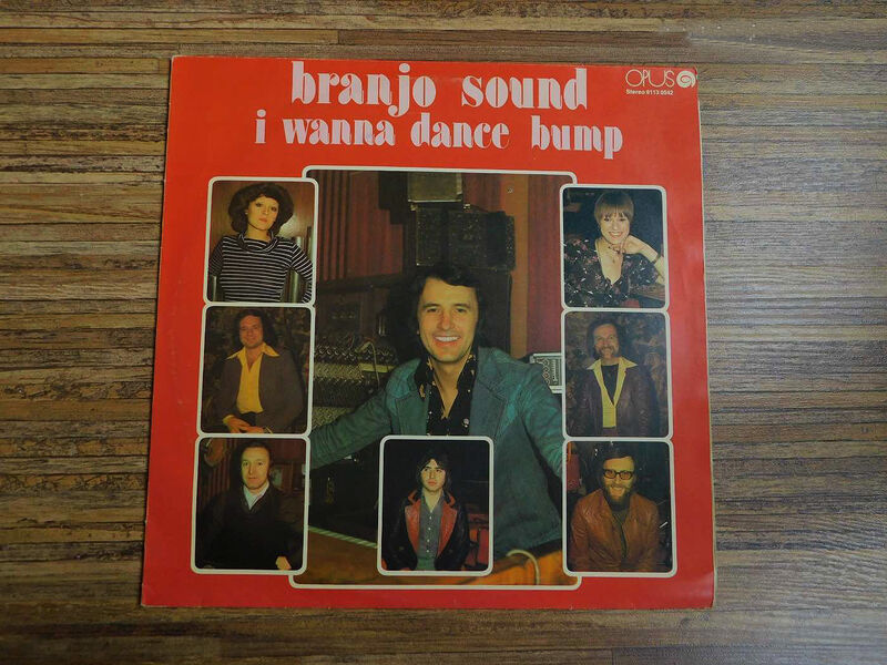 Cover of I Wanna Dance Bump