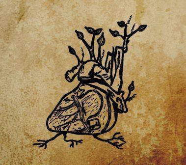 Cover of Harvest Aorta