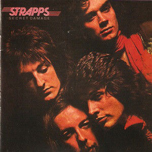 Cover of Secret Damage