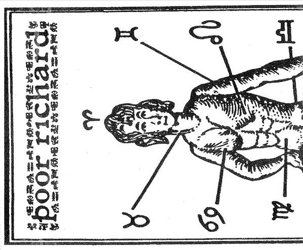 Cover of Knees, Reins & Feet