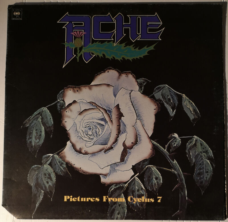 Cover of Pictures From Cycles 7
