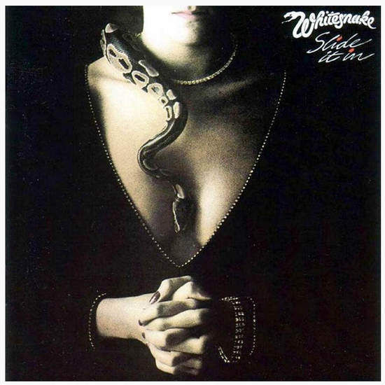 Cover of Slide It In