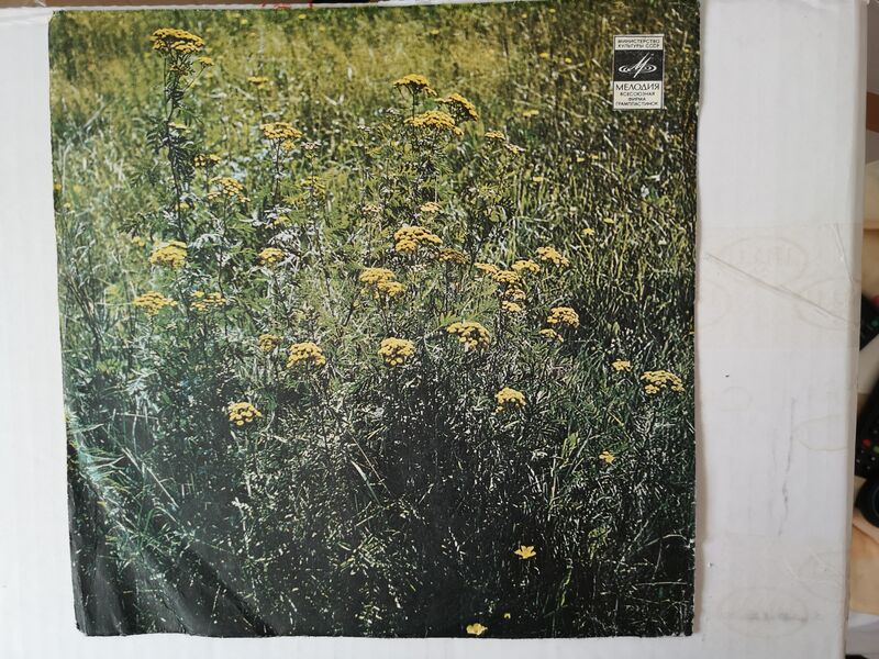 Cover of In Concert