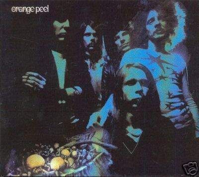 Cover of Orange Peel