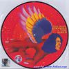 BOWIE DAVID - The Man Who Sold The World CD