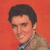 Elvis Presley - Promotional Card - Italian Memorabilia