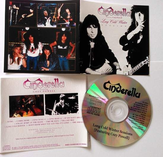 Cinderella long cold winter обложка. Cinderella long cold winter обложка. Long cold winter обложка альбома. Long cold. Cinderella "long cold winter".