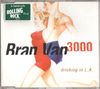 Bran Van 3000 - Drinking In La