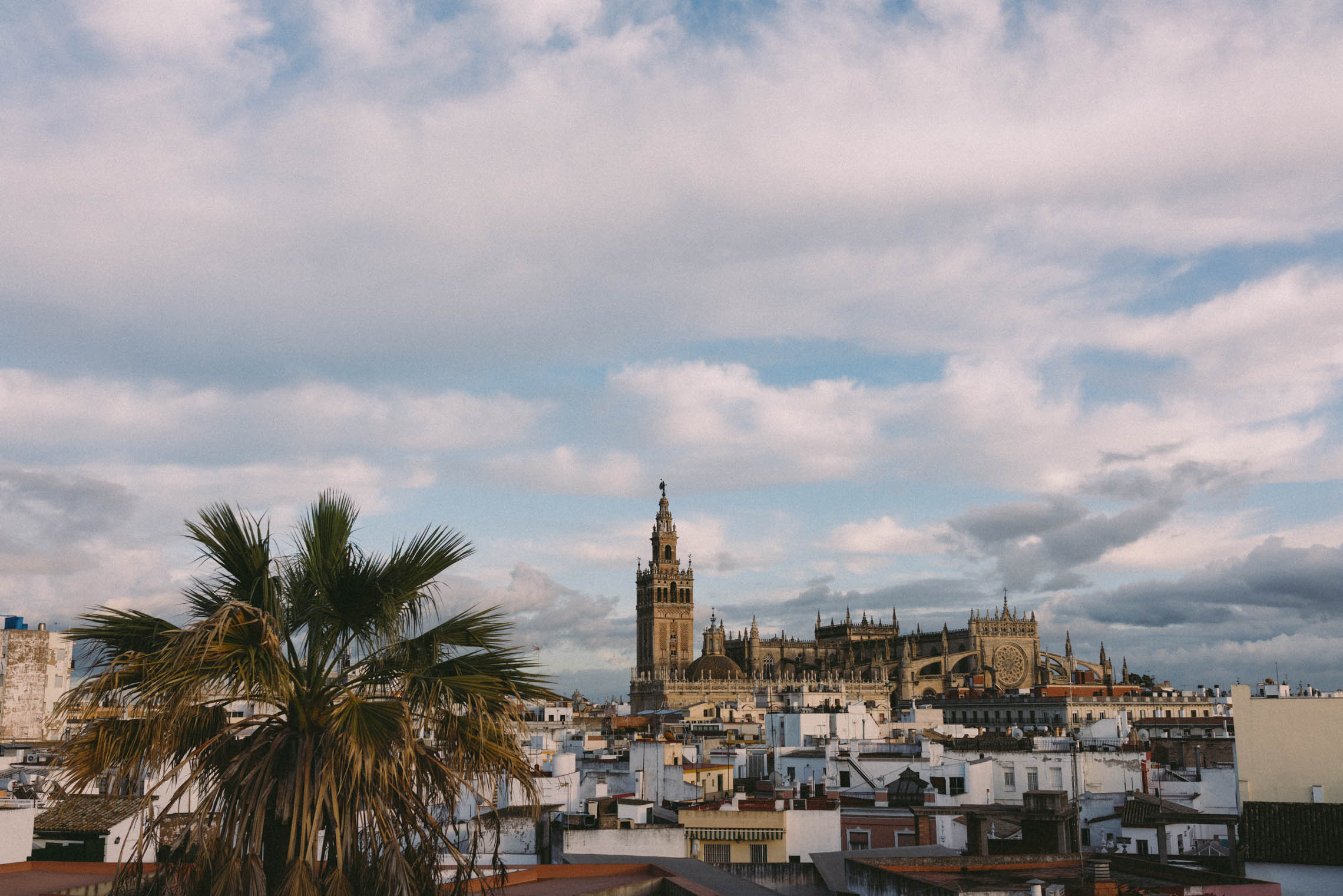 sevillando-07@2x