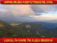 Muzica de petrecere 2011 Muzica de petrecere 2011