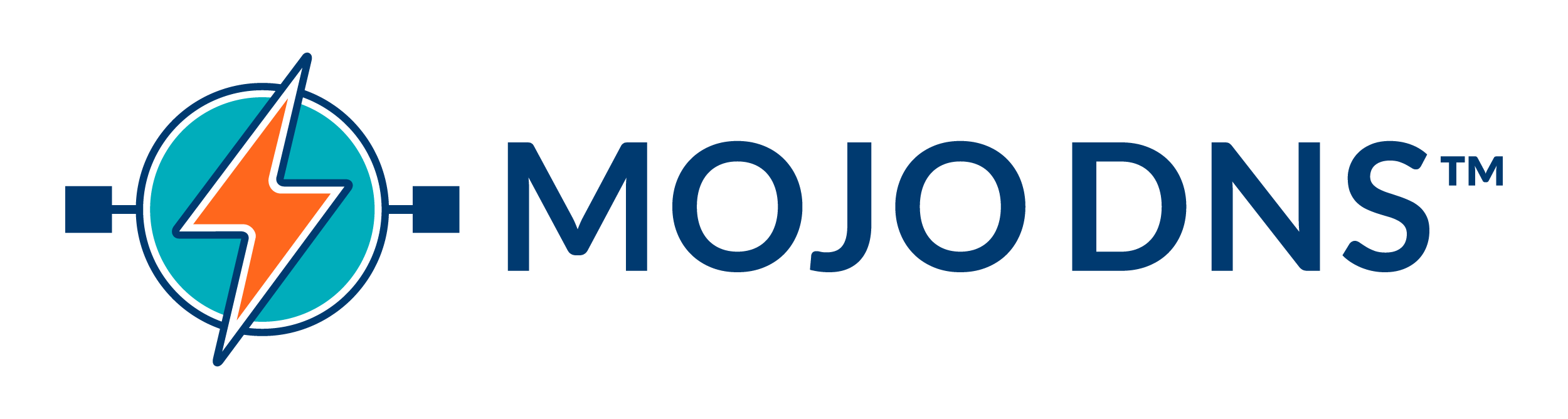 mojodns.com