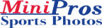 http://www.minipros.net