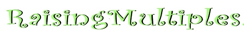 Raisingmultiples.com