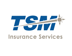 https://tsminsurance.com/