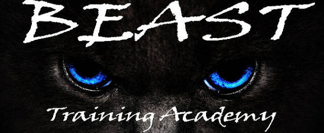 http://www.beasttrainingacademy.com
