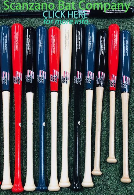 https://www.facebook.com/scanzanocombatbaseball/