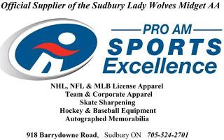 http://www.proamsportssudbury.weebly.com/