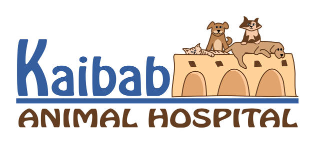 http://www.kaibabanimalhospital.com