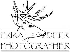 http://www.erikadeer.com