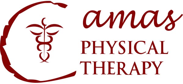 http://www.camasphysicaltherapy.com