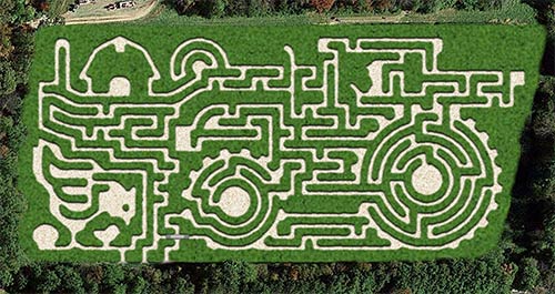 http://bloomsandberries.com/blooms-berries-farm-market-corn-maze.shtml