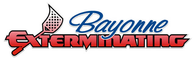 http://www.bayexco.com