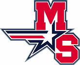MS Logo