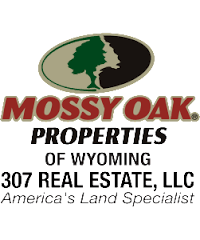 http://www.mossyoakproperties.com