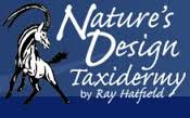 http://www.naturesdesigntaxidermy.com