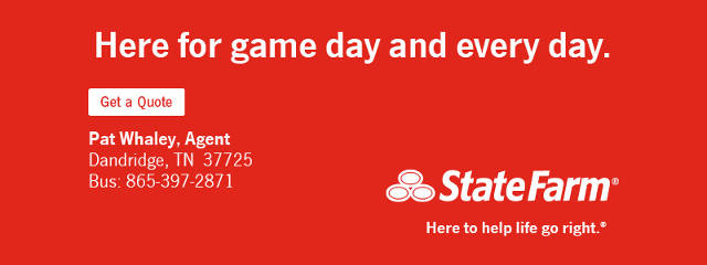 https://www.statefarm.com/agent/us/tn/dandridge/pat-whaley-dxsyh1ys000
