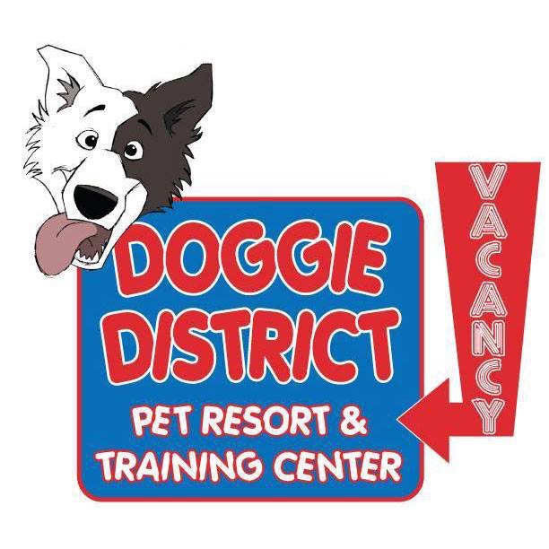 http://doggiedistrict.com