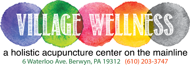http://villagewellness.net