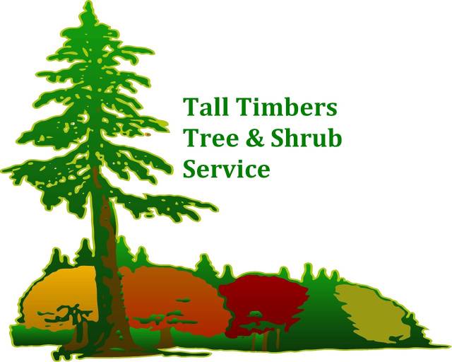 https://www.talltimberstreeservice.com/