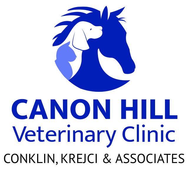 http://www.canonhillveterinaryclinic.com
