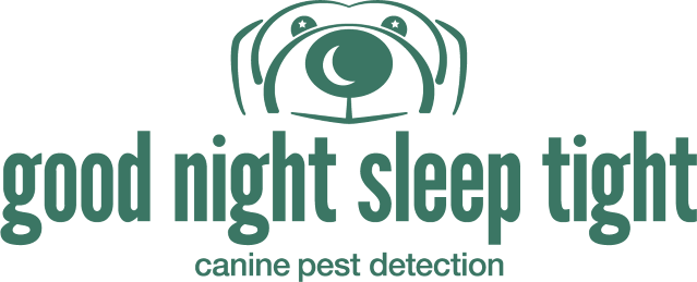http://www.goodnightsleeptight.com