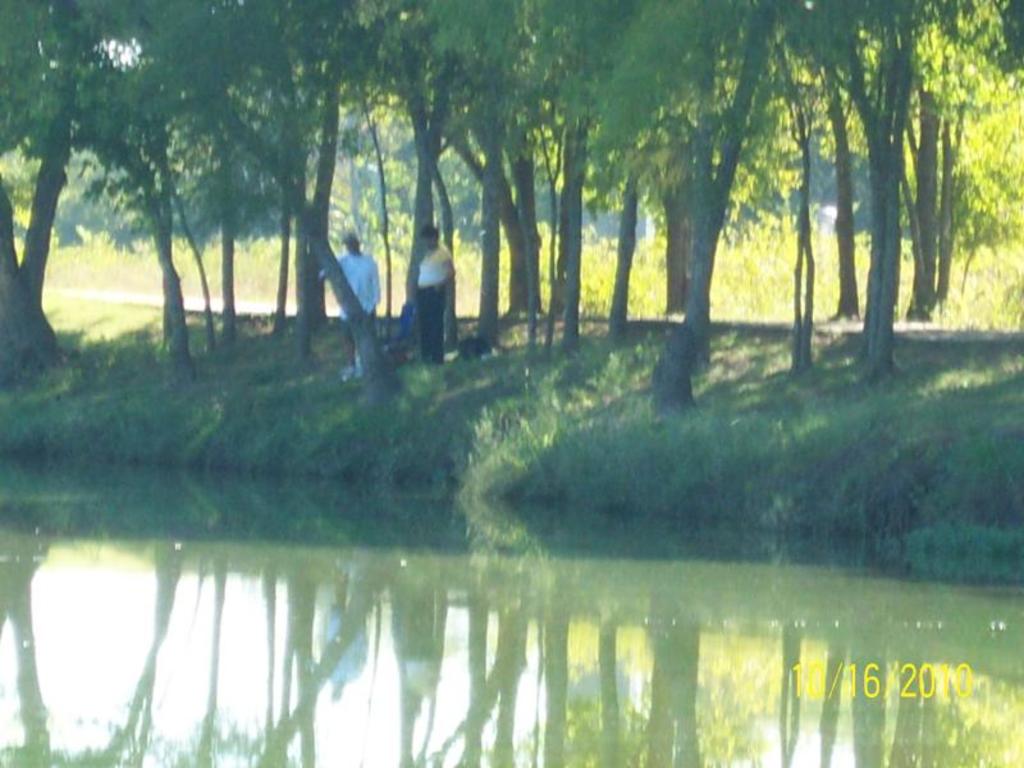 Picturesque Serenity - Living the Life
