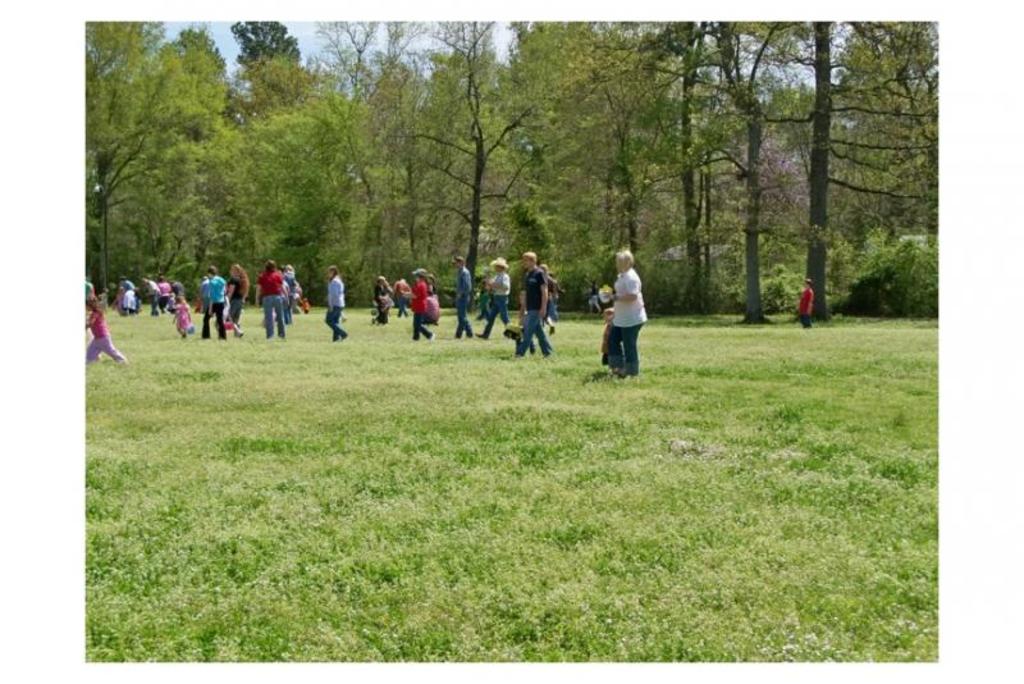 Sweeping the field for the eggs