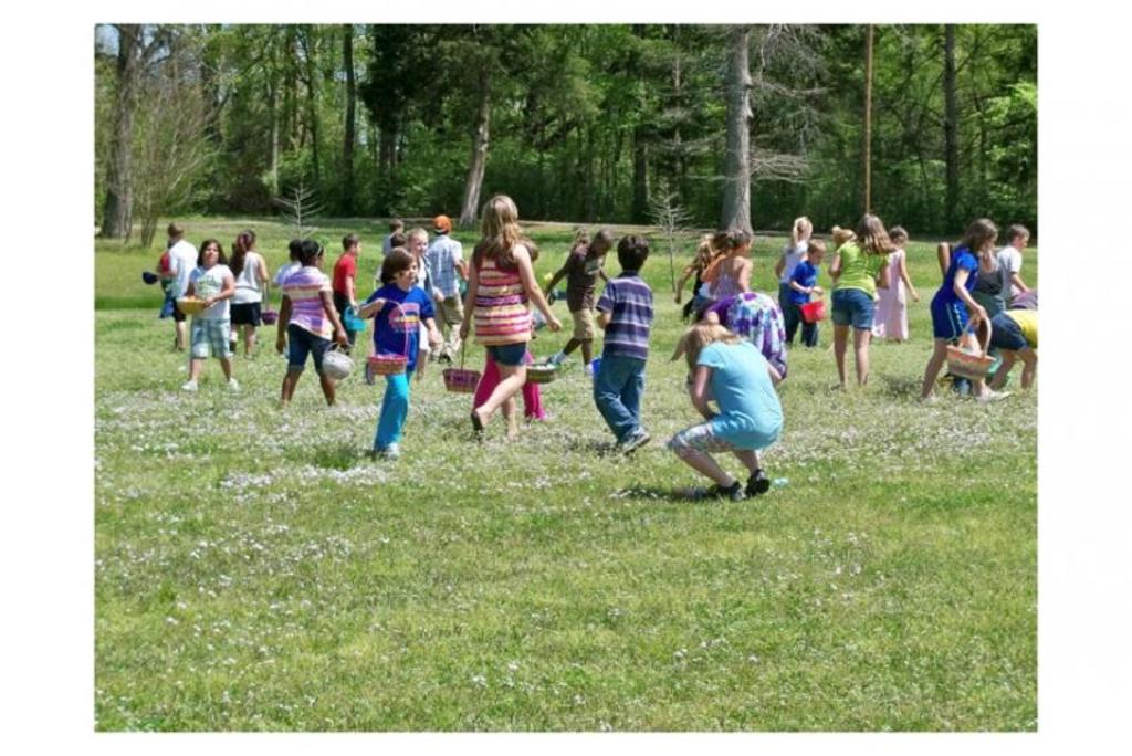 More of the egg hunt