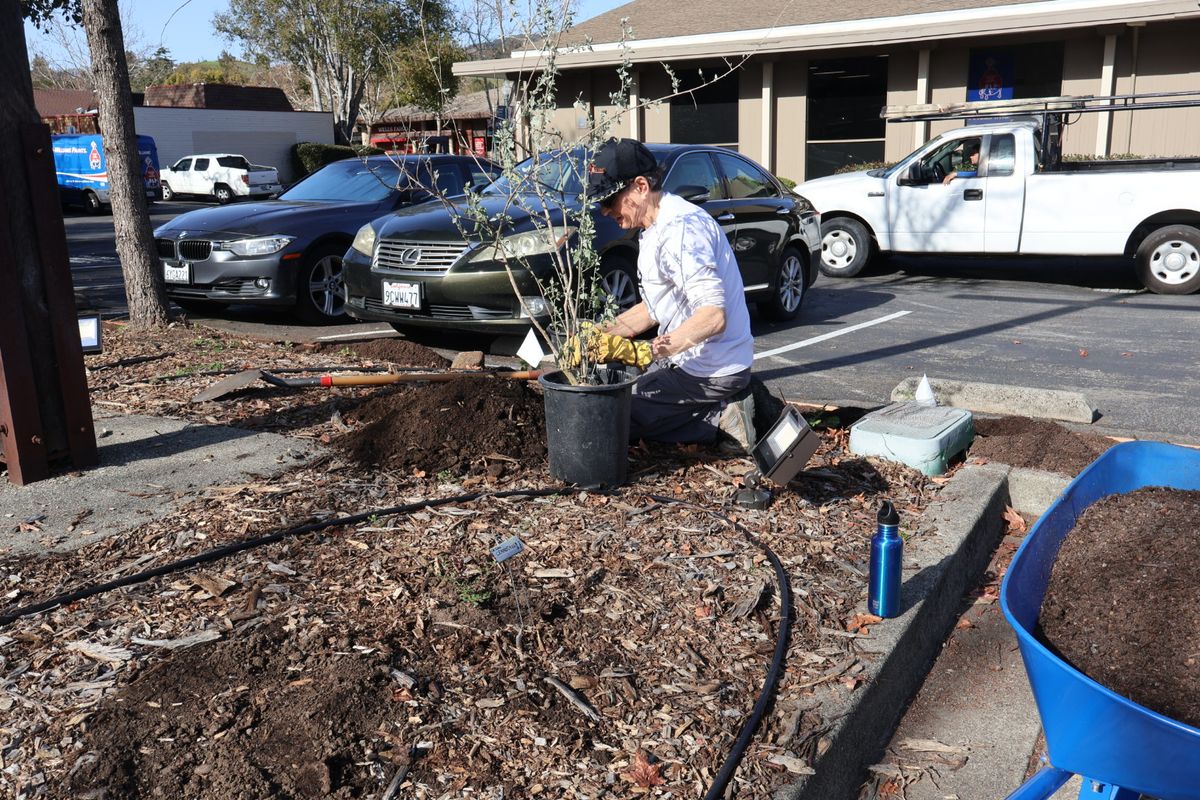 Planting by the cross