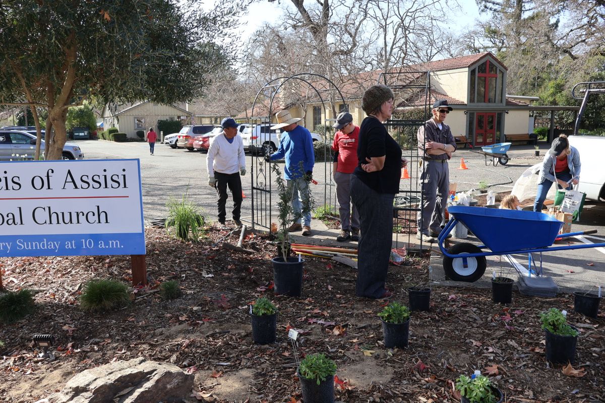 Piper listening intently.