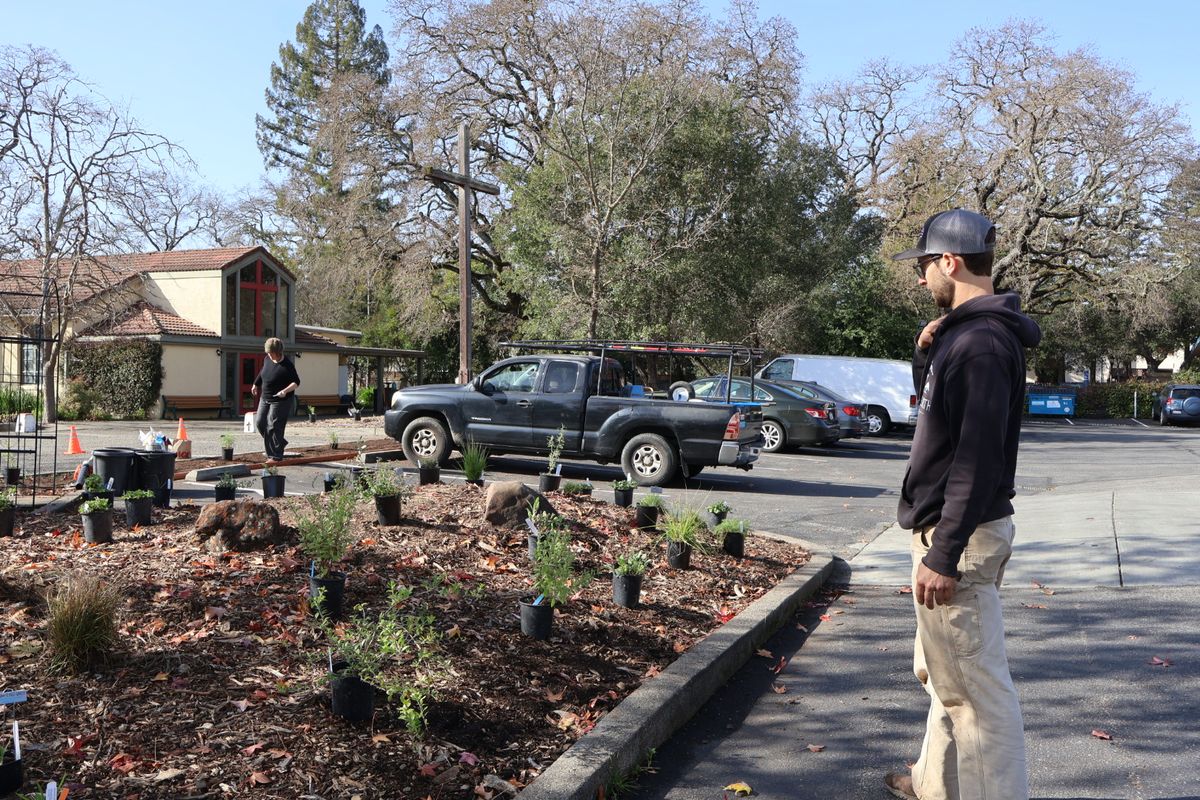 Gabriel analyzing the plant locations.