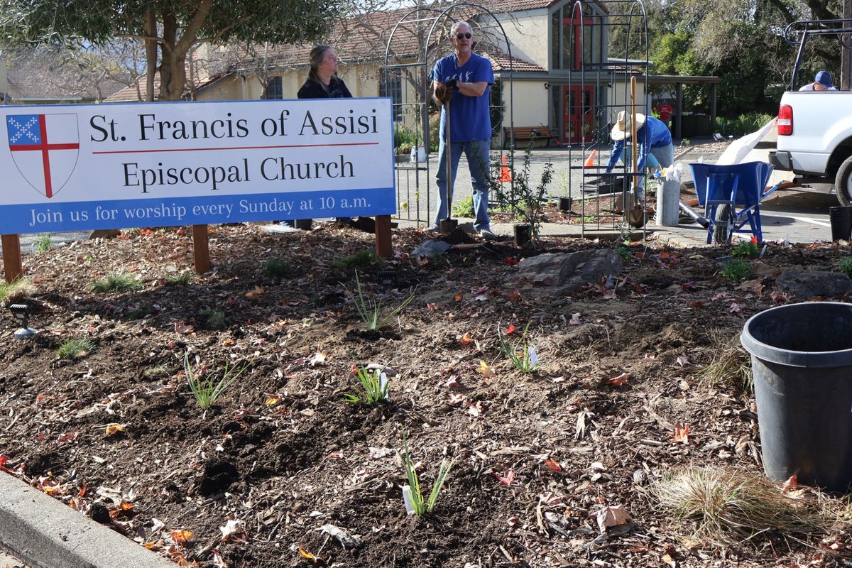 Plants in the ground in front of the sign