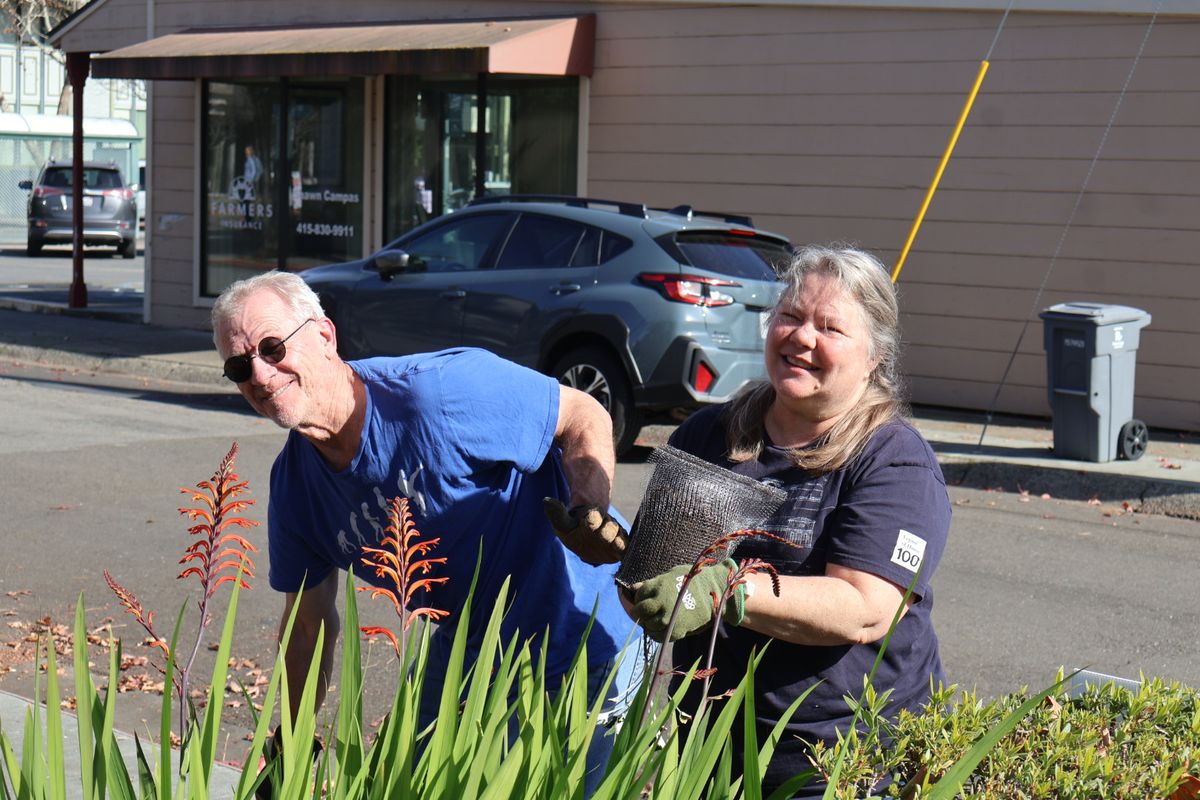 Phyllis and Dennis managing the plantings on the sidewalk side